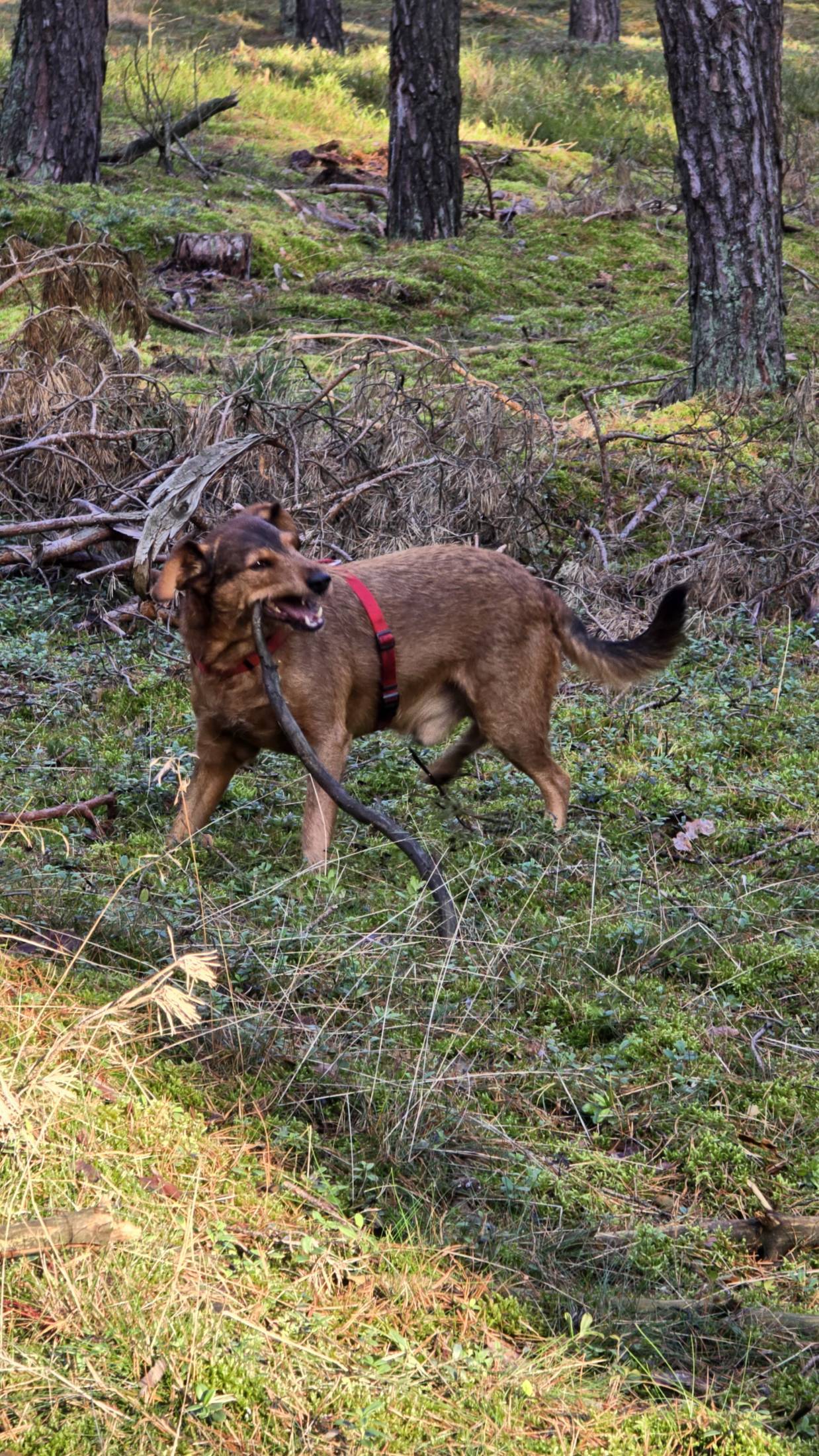 Zejście z utartego szlaku