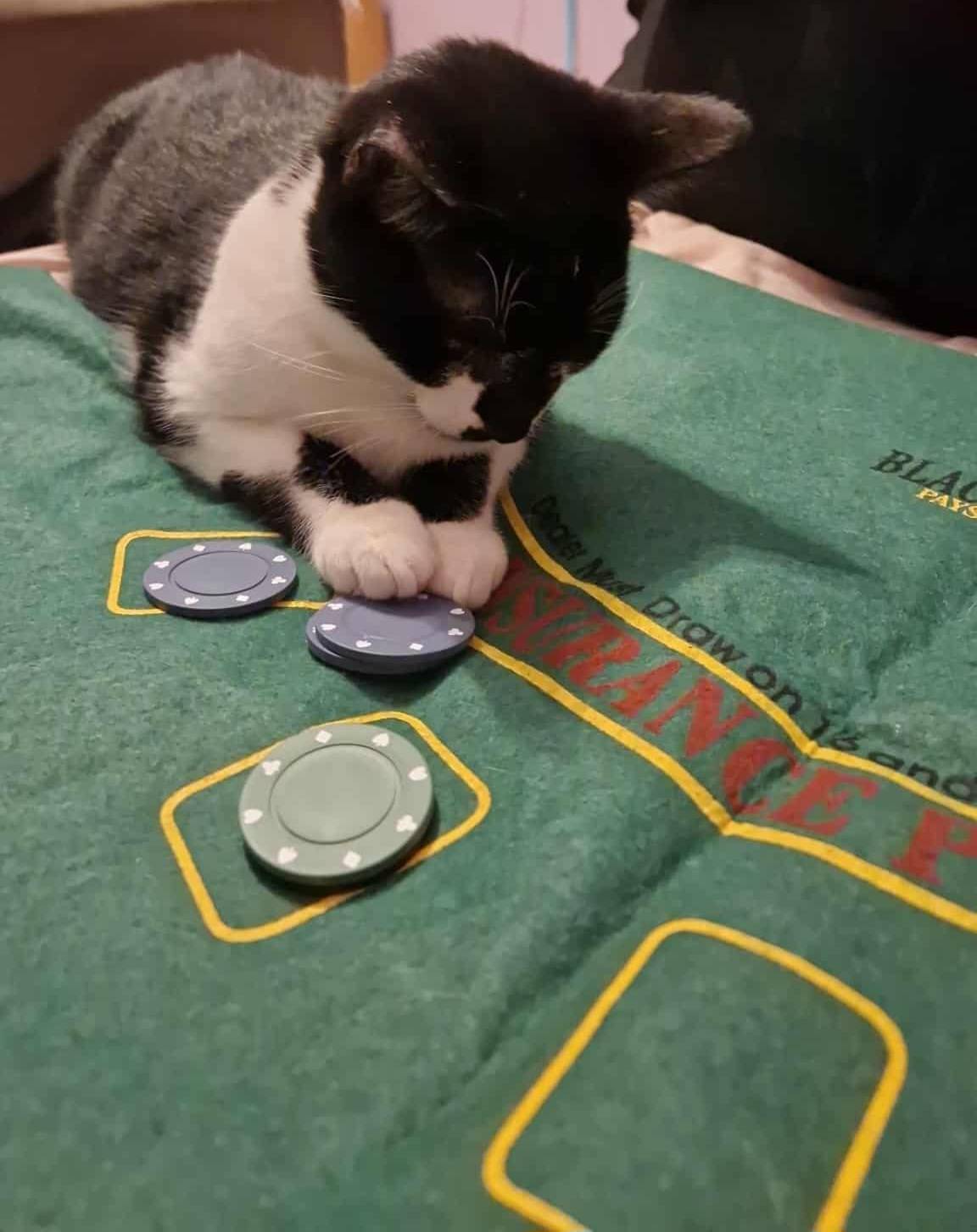 Codzienność w duchowości