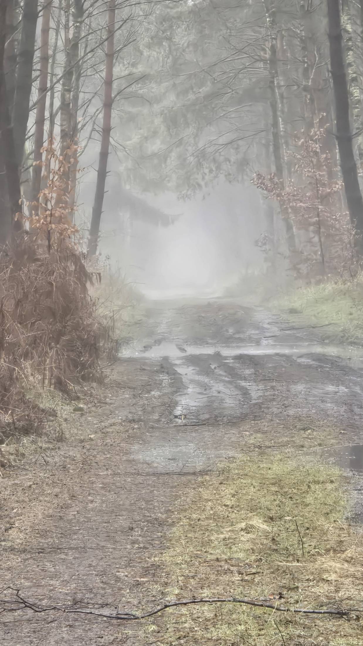 Odpuszczenie kontroli